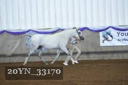 20YN_33170 thumbnail