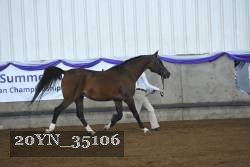 20YN_35106 thumbnail