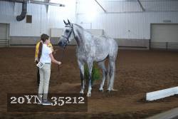 20YN_35212 thumbnail