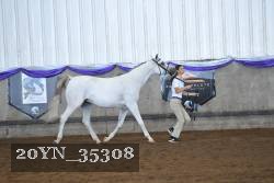 20YN_35308 thumbnail