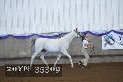20YN_35309 thumbnail