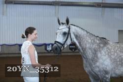 20YN_35312 thumbnail