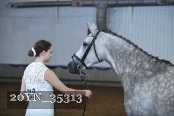 20YN_35313 thumbnail