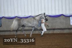 20YN_35316 thumbnail