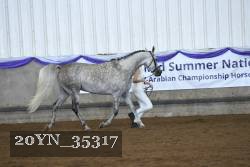 20YN_35317 thumbnail