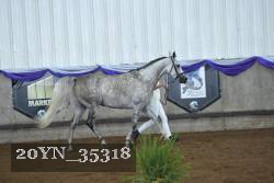 20YN_35318 thumbnail