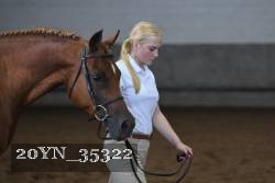 20YN_35322 thumbnail
