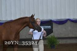 20YN_35324 thumbnail