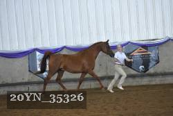 20YN_35326 thumbnail