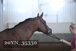 20YN_35330 thumbnail