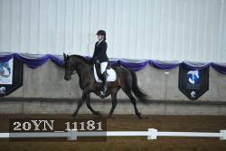 20YN_11181 thumbnail