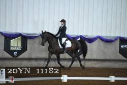 20YN_11182 thumbnail