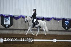 20YN_11183 thumbnail