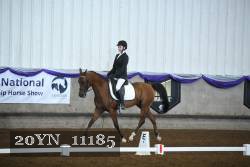 20YN_11185 thumbnail