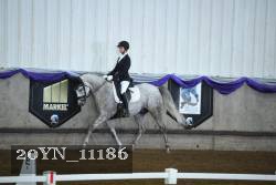 20YN_11186 thumbnail