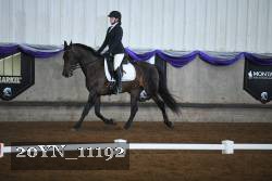20YN_11192 thumbnail