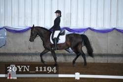 20YN_11194 thumbnail