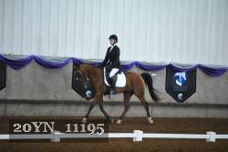 20YN_11195 thumbnail