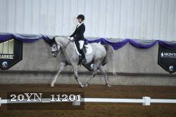 20YN_11201 thumbnail