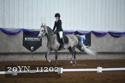 20YN_11202 thumbnail