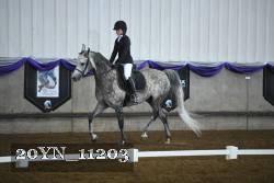 20YN_11203 thumbnail