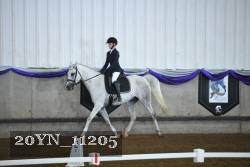 20YN_11205 thumbnail