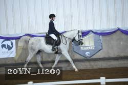20YN_11209 thumbnail