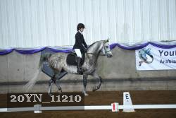 20YN_11210 thumbnail