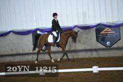20YN_11215 thumbnail