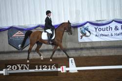 20YN_11216 thumbnail