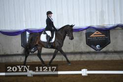 20YN_11217 thumbnail