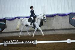 20YN_11219 thumbnail