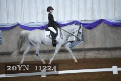 20YN_11224 thumbnail
