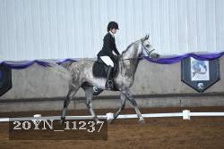 20YN_11237 thumbnail