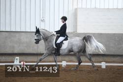 20YN_11243 thumbnail
