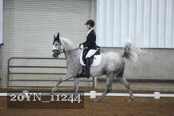 20YN_11244 thumbnail