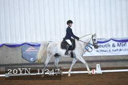 20YN_11247 thumbnail