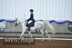 20YN_11252 thumbnail