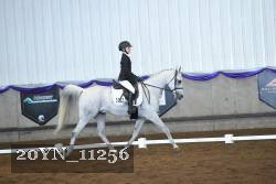 20YN_11256 thumbnail