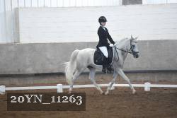 20YN_11263 thumbnail