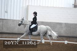 20YN_11264 thumbnail