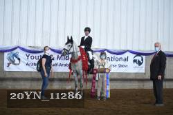20YN_11286 thumbnail