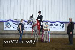 20YN_11287 thumbnail