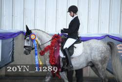 20YN_11289 thumbnail