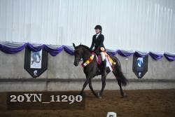 20YN_11290 thumbnail
