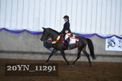 20YN_11291 thumbnail