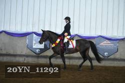 20YN_11292 thumbnail