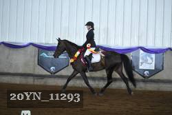 20YN_11293 thumbnail