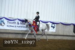 20YN_11297 thumbnail
