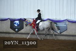 20YN_11300 thumbnail